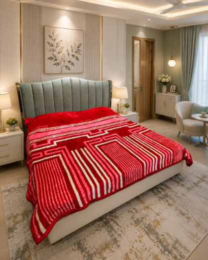 Double Bed 2.5 kg - Red Lines